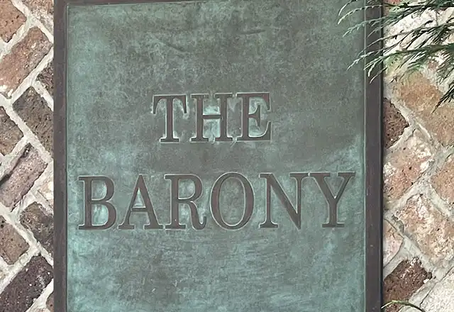 Barony